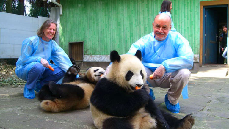 panda volunteer program